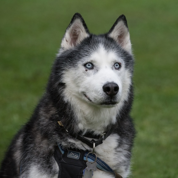 Meet your Posher - Picture 3 of 3